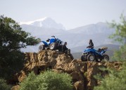 Yamaha Wolverine 350 Yamaha Wolverine 350
